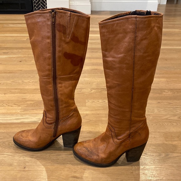 Steve Madden | Shoes | Steve Madden 